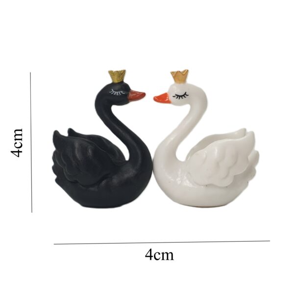 Miniature Black & White Swans