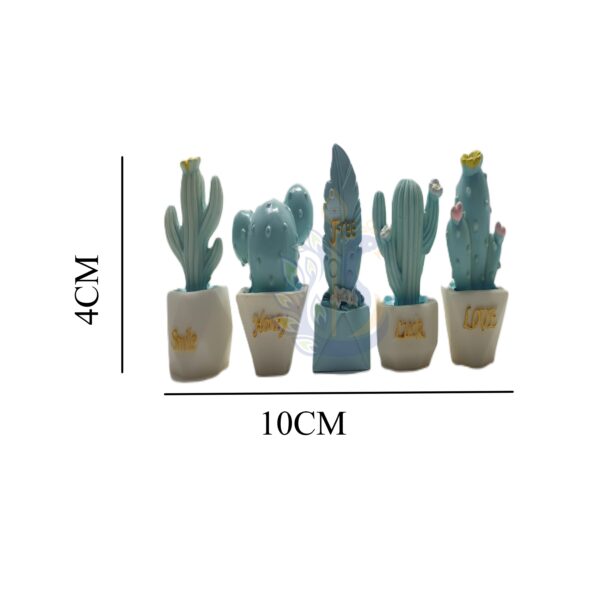 Miniature Cactus For gifting set of 5