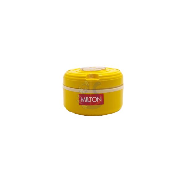 Milton Food Fun Big Insulated Tiffin Box