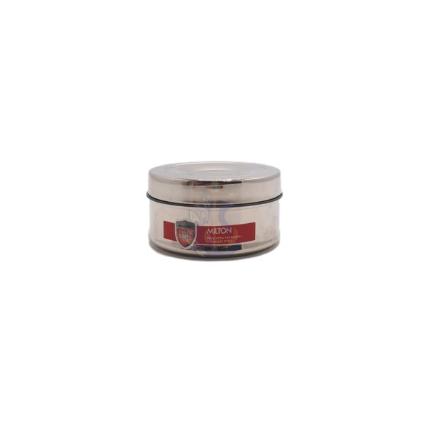 Milton Steel Snack Small Tiffin Box 480 ml