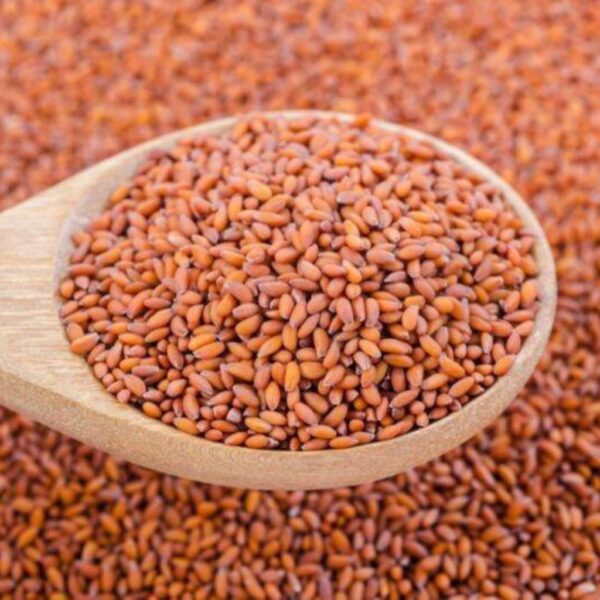Salil Seeds 50g