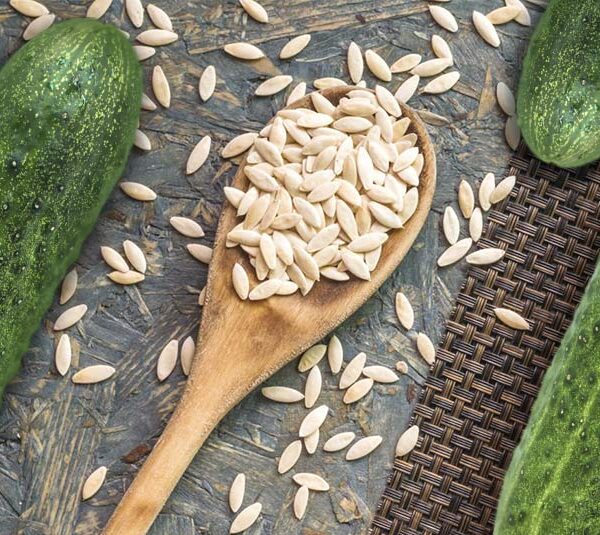 வெள்ளரிக்காய் விதை/Cucumber Seeds 50 g